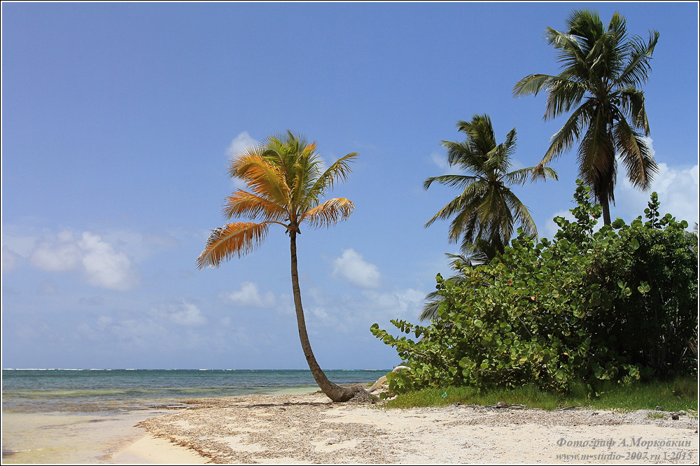 Доминиканское побережье